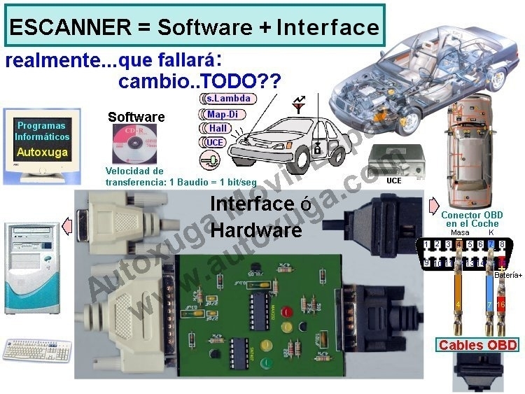 Ampliar Imagen